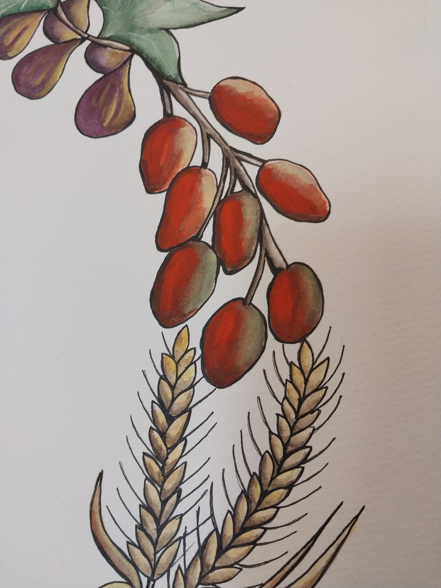 Seven Species Ketubah