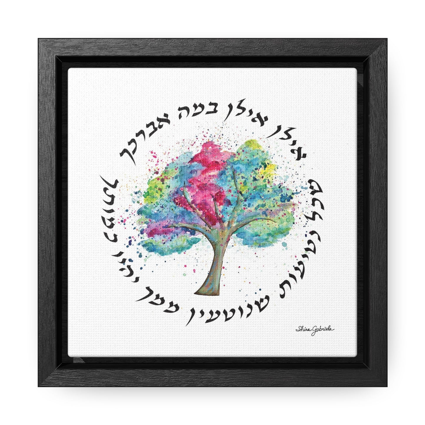 Ilan, Ilan Gallery Canvas Wraps, Square Frame