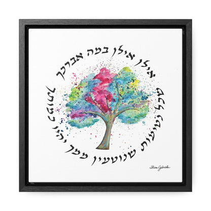 Ilan, Ilan Gallery Canvas Wraps, Square Frame