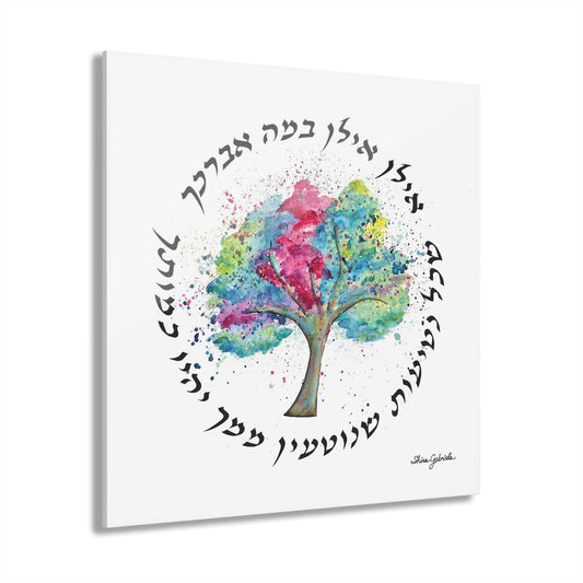 Ilan, Ilan Acrylic Print