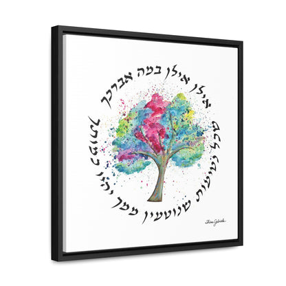 Ilan, Ilan Gallery Canvas Wraps, Square Frame